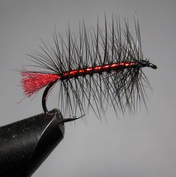 ���� ������  PLM 06 black - red  # 6
